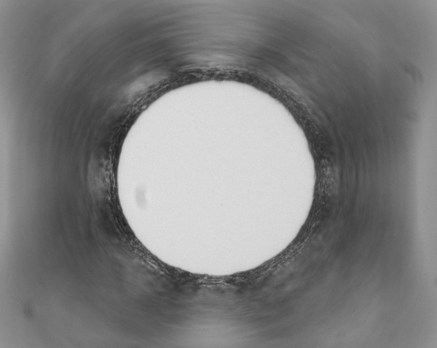 X0000110740918200907271058