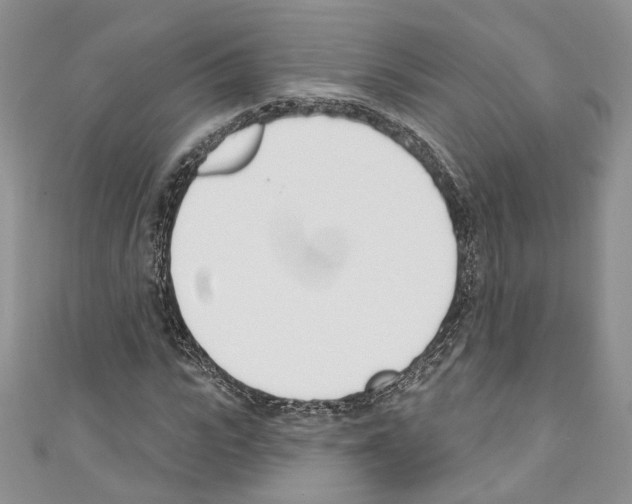 X0000110740919200907271058