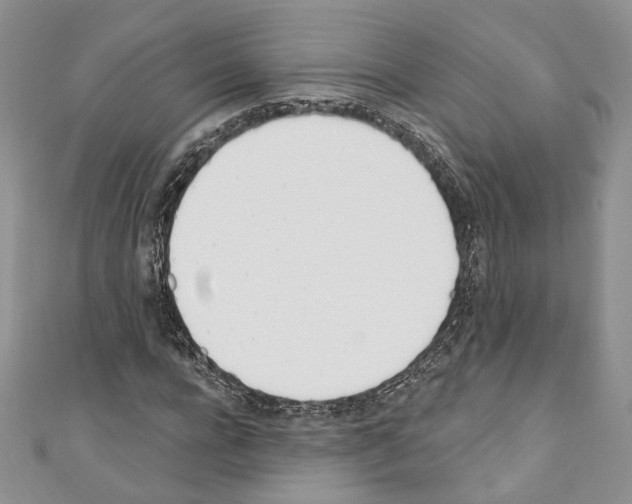 X0000110740920200907271058