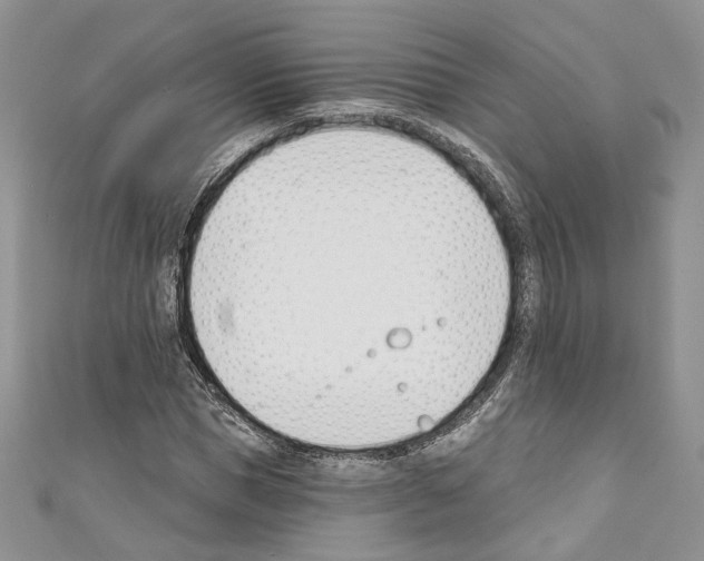 X0000110740921200907271058