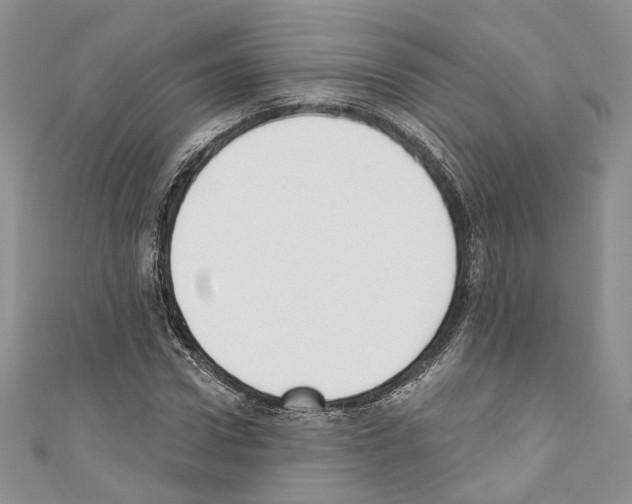 X0000110740922200907271058