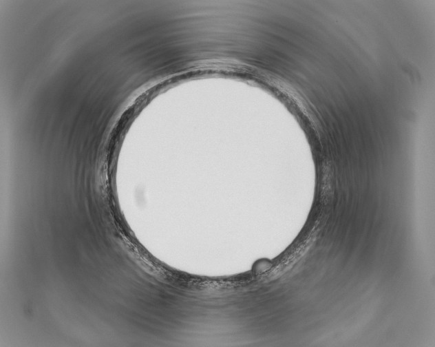 X0000110740923200907271058