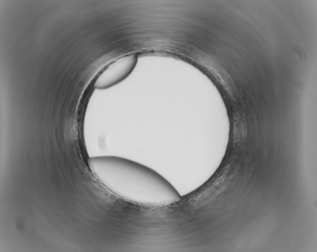 X0000110740924200907271058