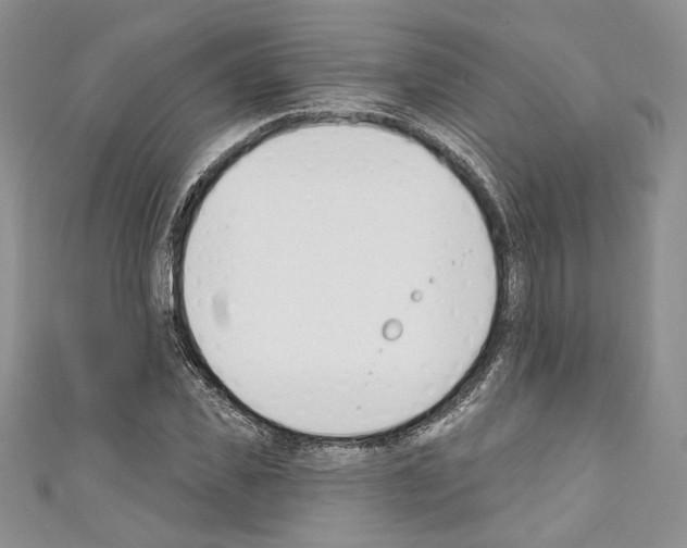X0000110740925200907271058