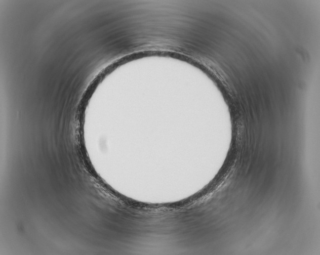 X0000110740926200907271058