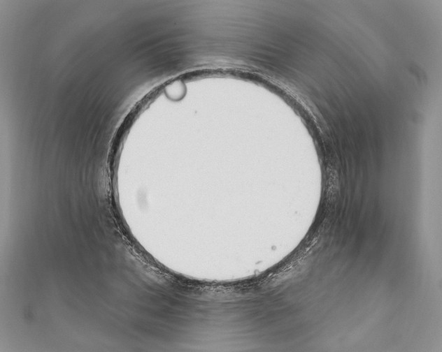 X0000110740927200907271058