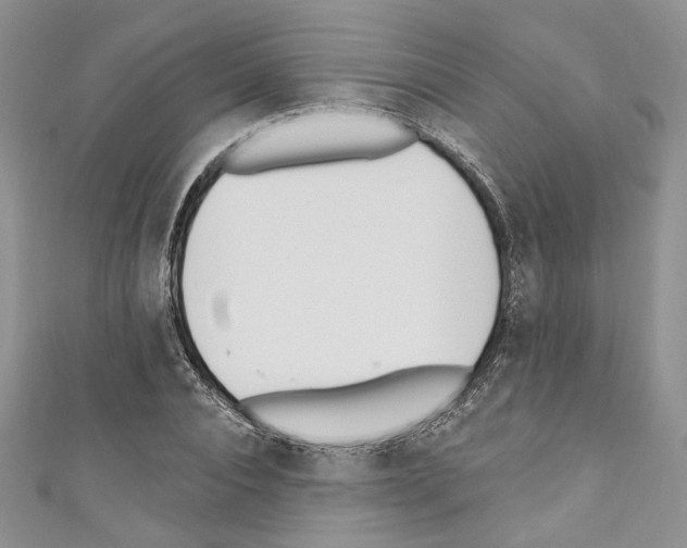 X0000110740928200907271058