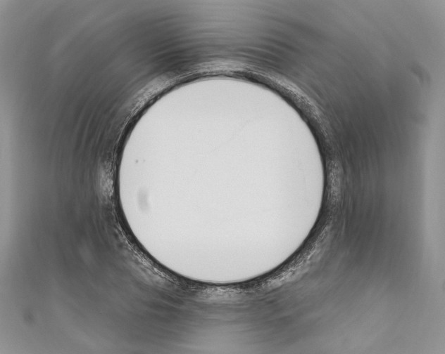 X0000110740929200907271058