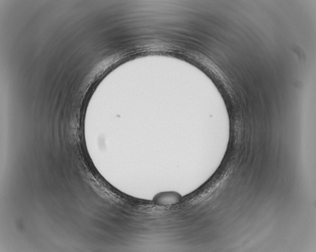 X0000110740930200907271058