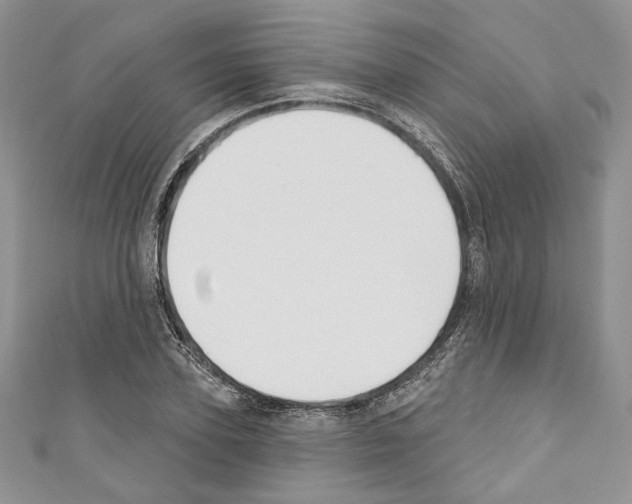 X0000110740931200907271058
