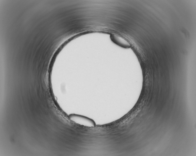 X0000110740932200907271058