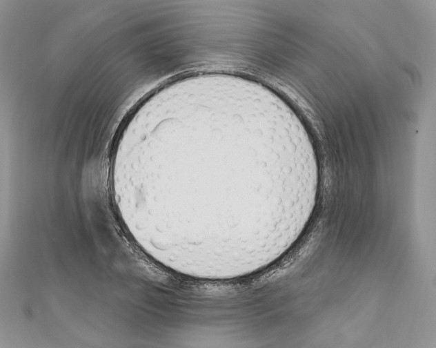 X0000110740933200907271058