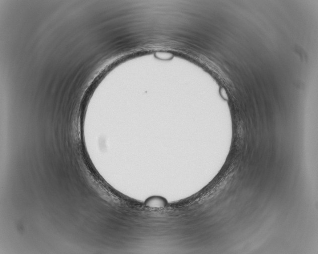 X0000110740934200907271058