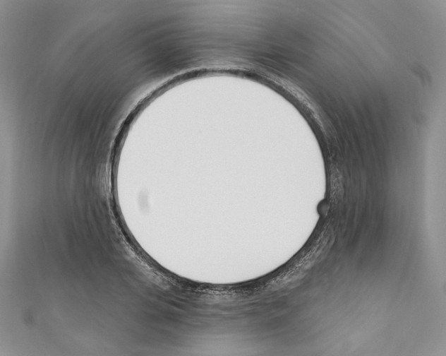 X0000110740935200907271058