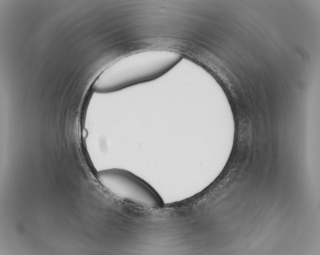 X0000110740936200907271059