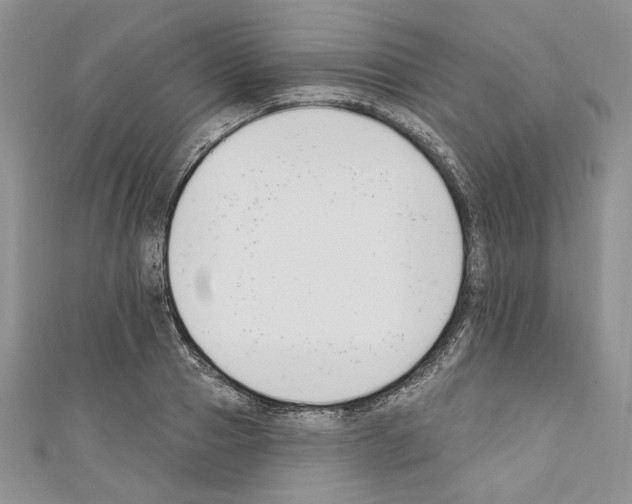 X0000110740937200907271059