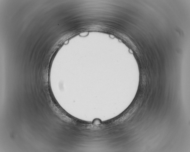 X0000110740938200907271059