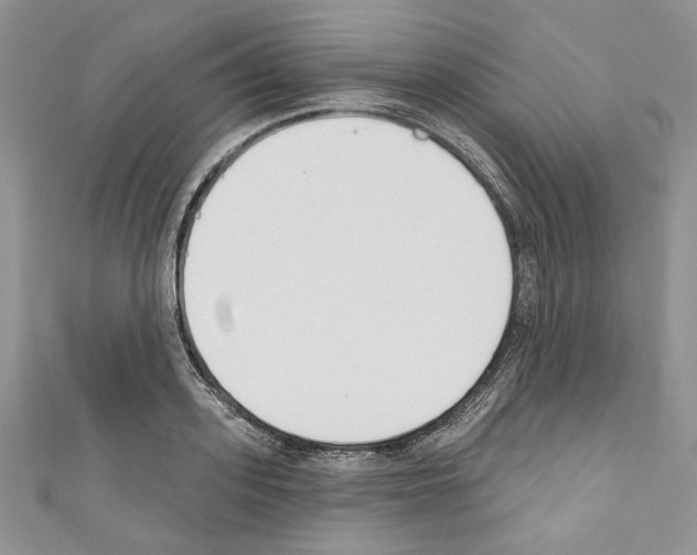 X0000110740939200907271059