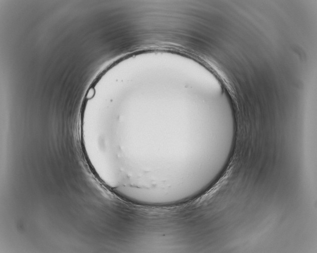 X0000110740940200907271059