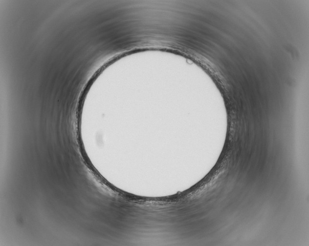 X0000110740942200907271059