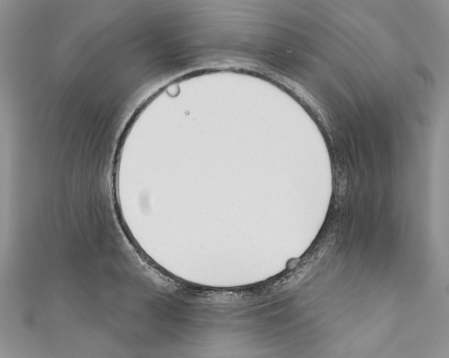X0000110740943200907271059