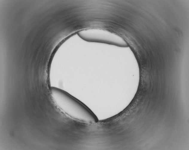 X0000110740944200907271059
