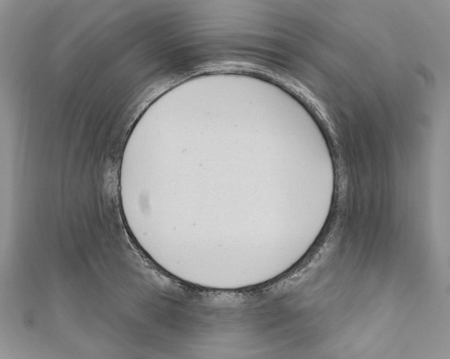 X0000110740945200907271059