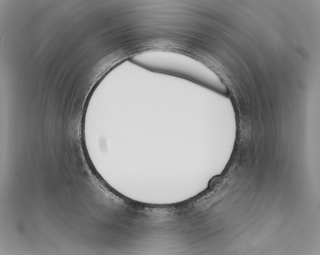 X0000110740946200907271059