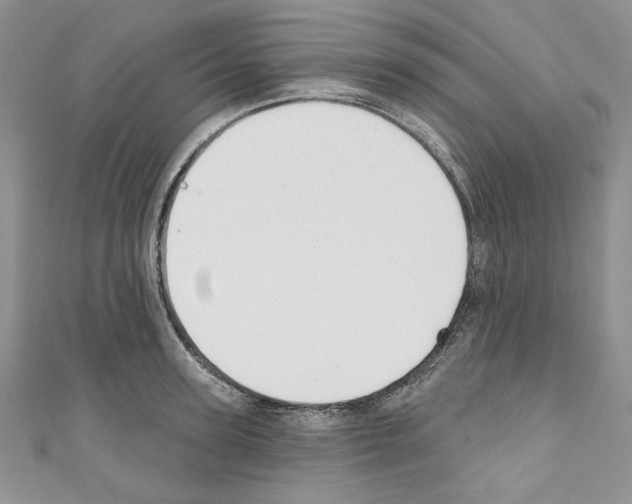 X0000110740947200907271059