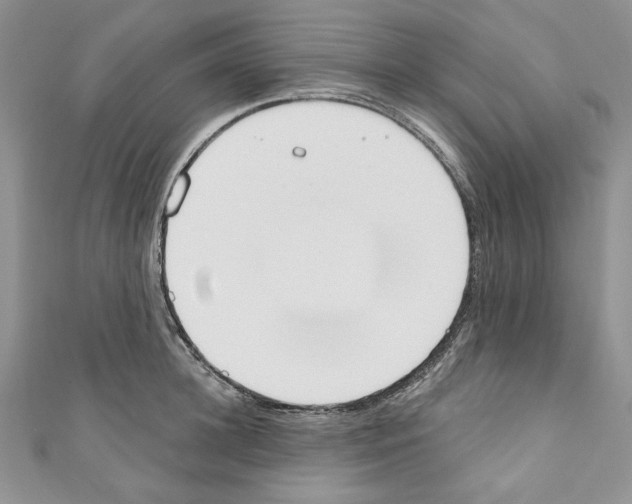X0000110740948200907271059
