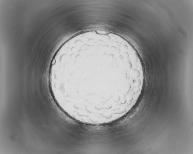 X0000110740949200907271059