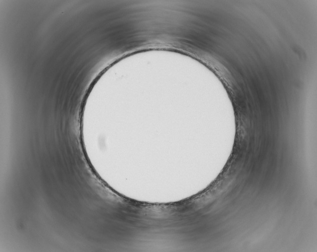 X0000110740950200907271059