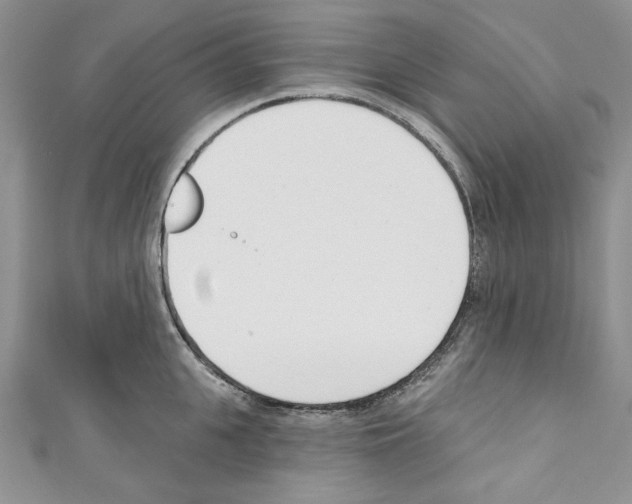 X0000110740951200907271059