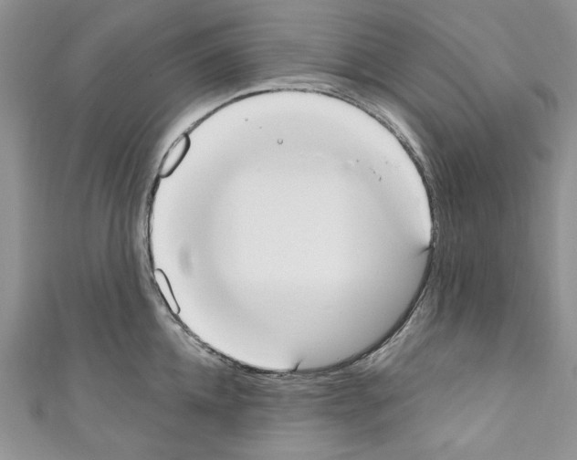 X0000110740952200907271059