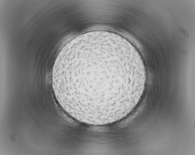 X0000110740953200907271059