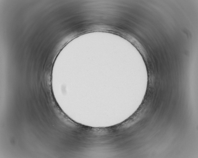X0000110740954200907271059