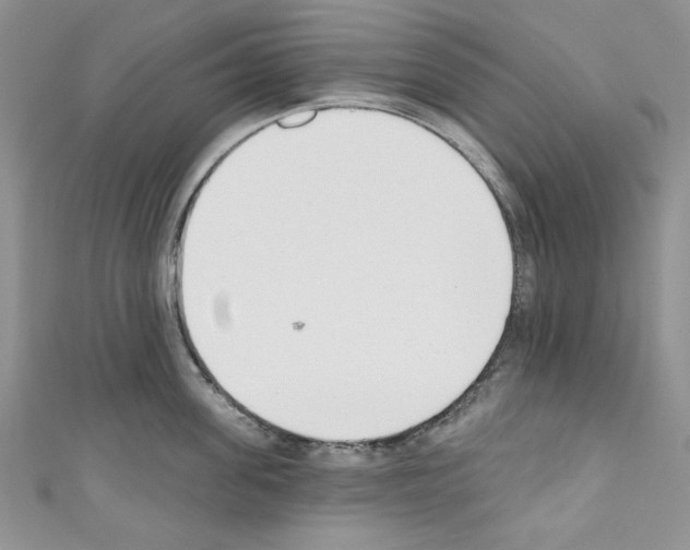X0000110740955200907271059