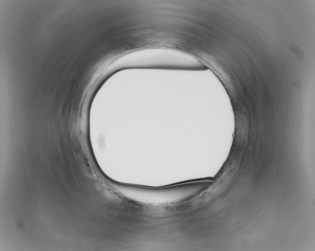 X0000110740956200907271059