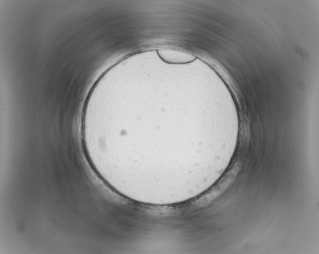 X0000110740957200907271059