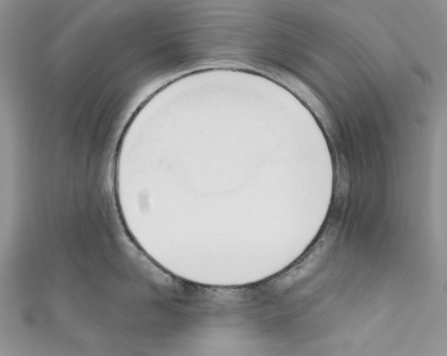 X0000110740958200907271059
