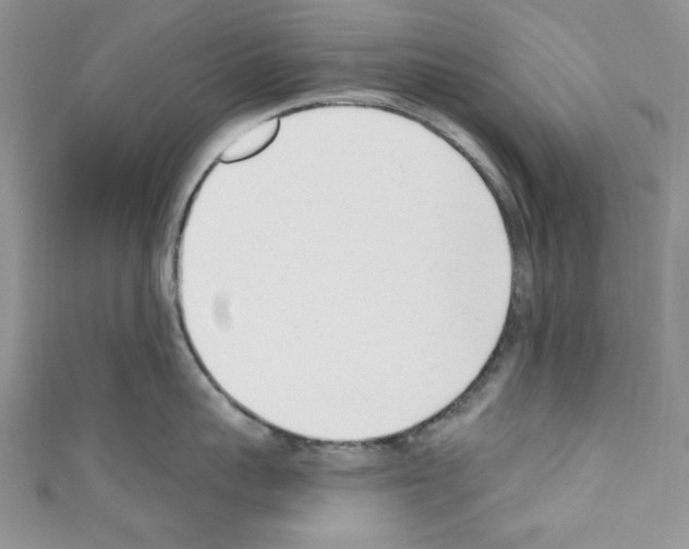 X0000110740959200907271059