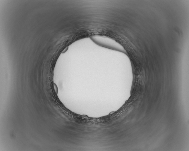 X0000110740961200907271058