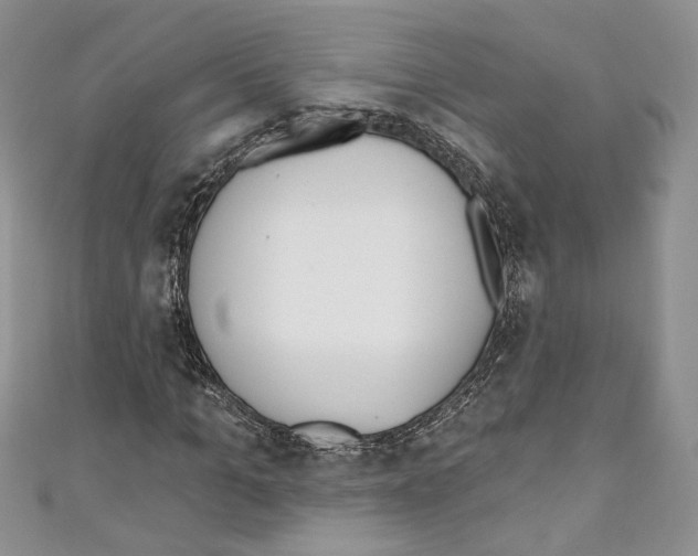 X0000110740965200907271058