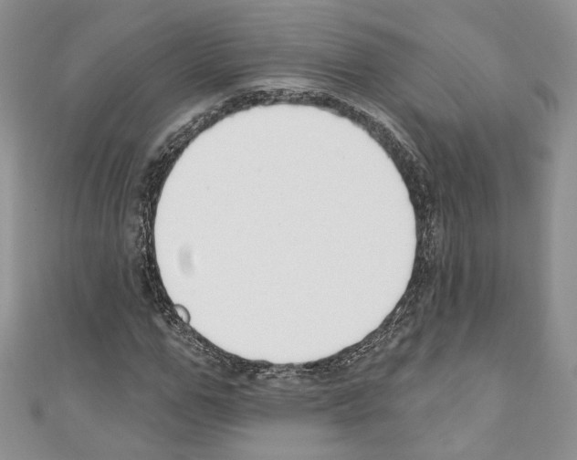 X0000110740967200907271058