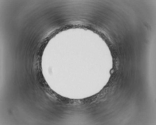 X0000110740968200907271058