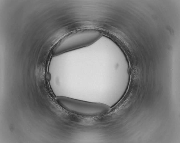 X0000110740969200907271058