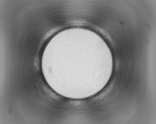 X0000110740970200907271058
