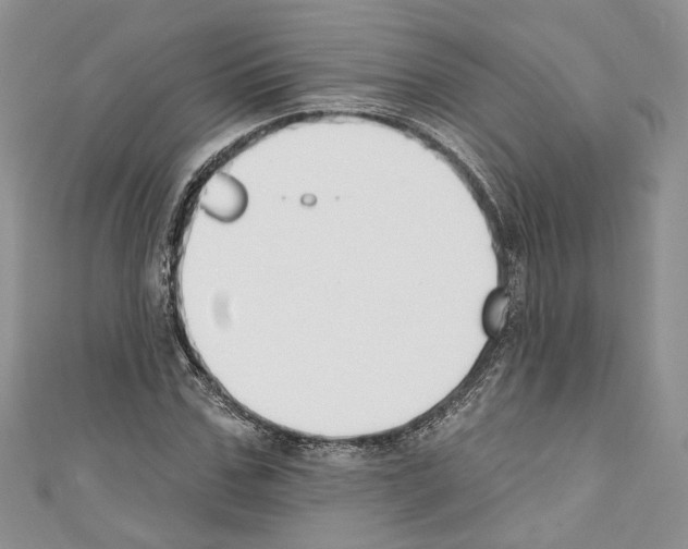 X0000110740971200907271058