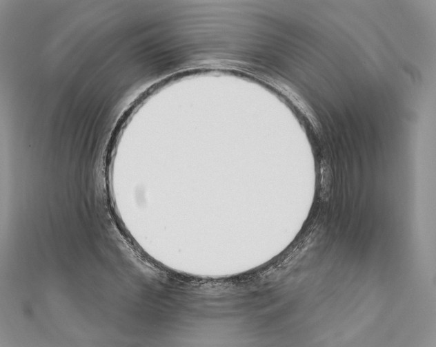 X0000110740972200907271058