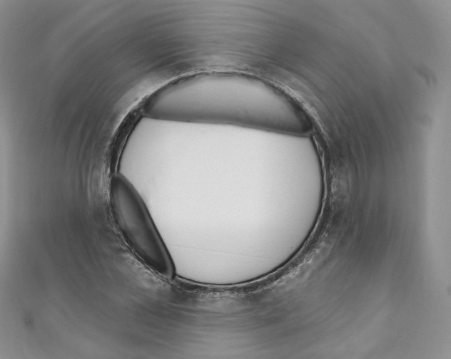 X0000110740973200907271058
